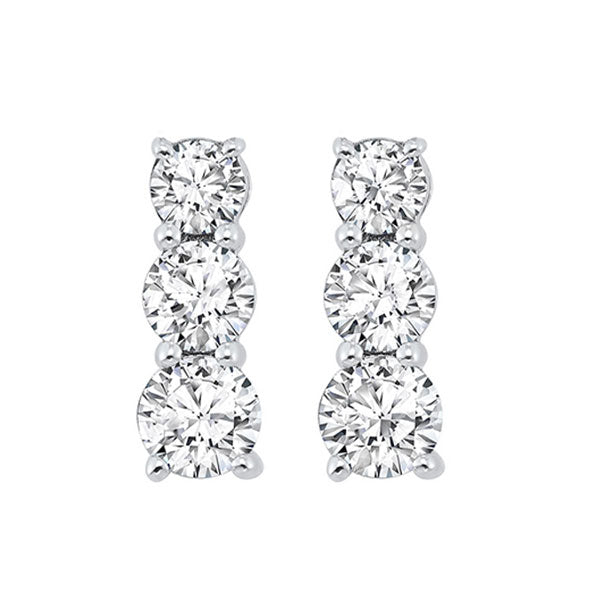 Silver Diamond (1/3Ctw) Earring