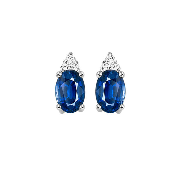 10Kt White Gold Diamond (1/20Ctw) & Sapphire (5/8 Ctw) Earring