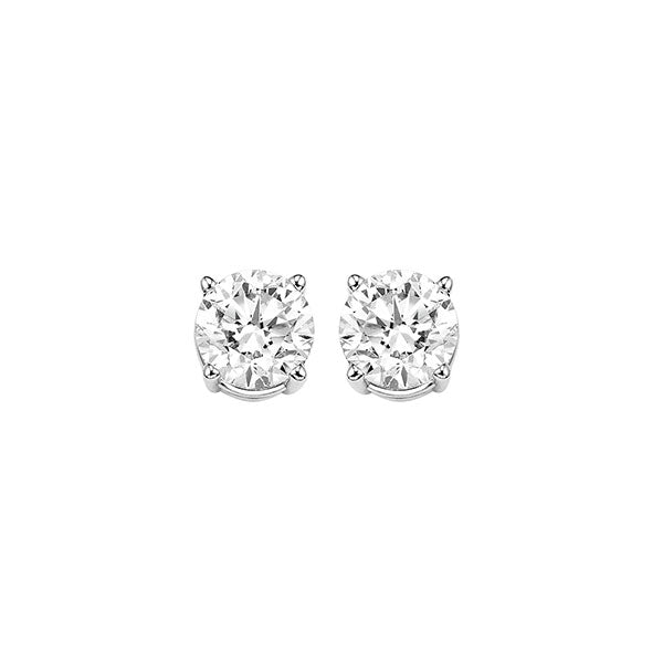 14Kt White Gold Diamond (3/4Ctw) Earring